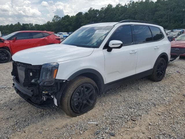 5xyp3dgc0sg567979 - 2025 undefined telluride ex